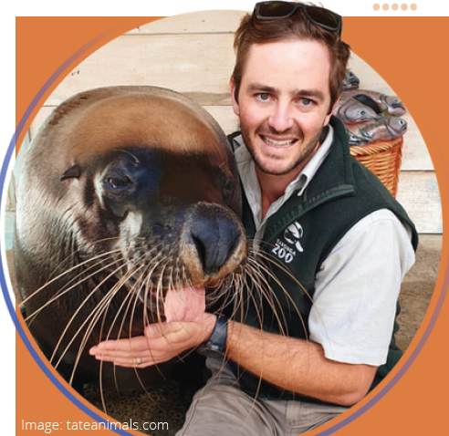 Sea lion with young man wearing a dark vest, sunglasses on head and white shirt