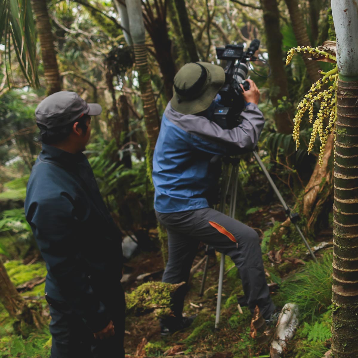 Chelsea Scott Photo - Biodiversity - Mount Gower - Film Crew