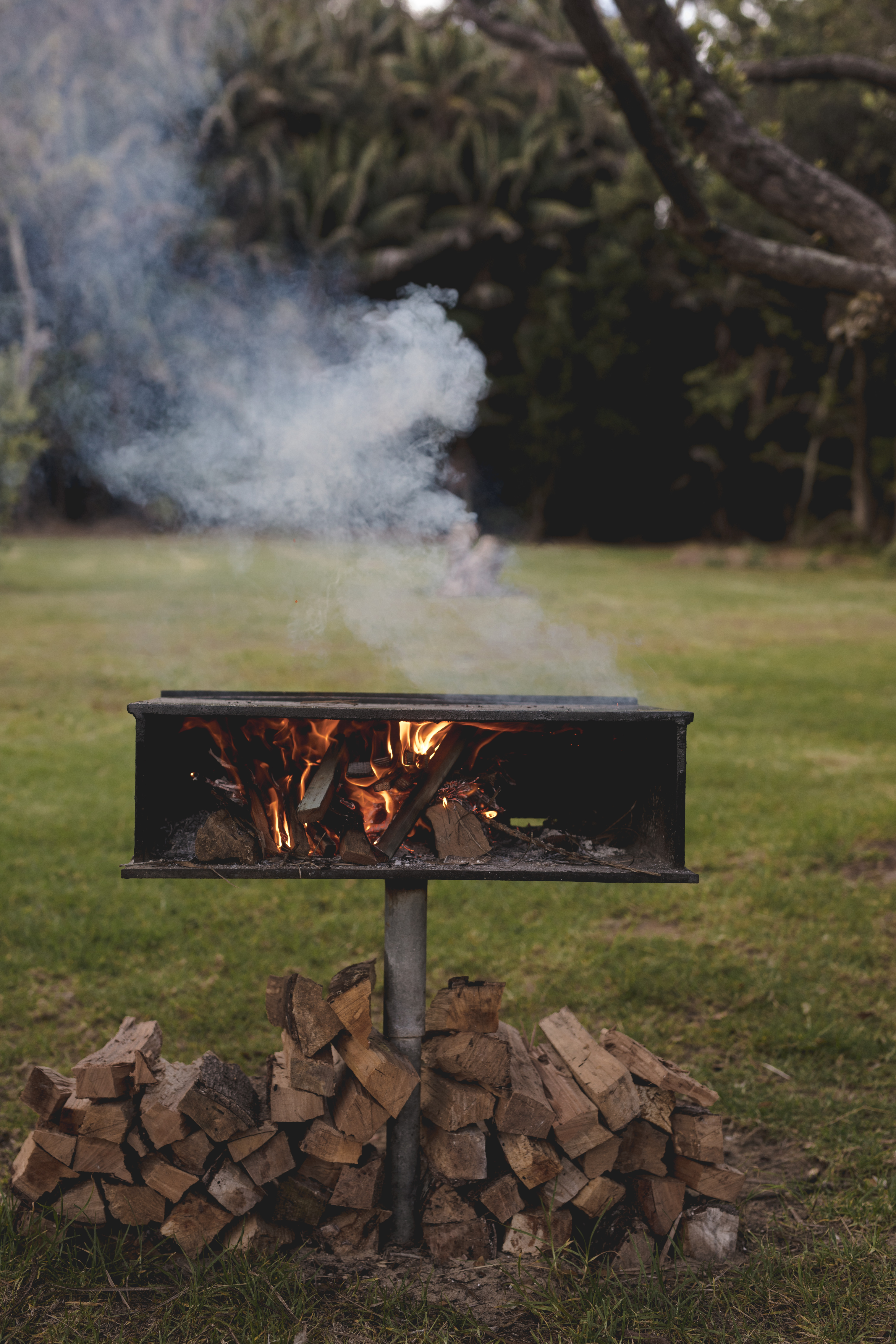 Chelsea Scott Photo - Lord Howe Island - Amenity - BBQ