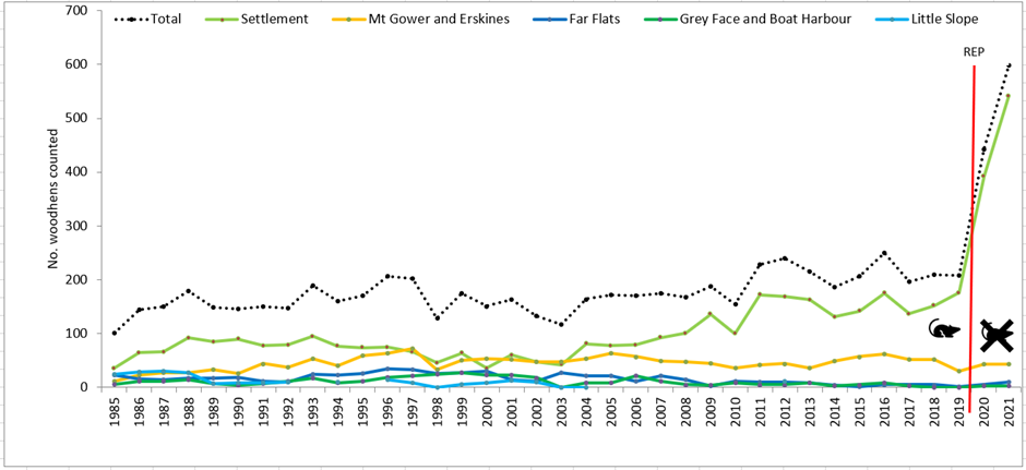 Figure 1 The number of woodhens recorded in surveys since 1985.