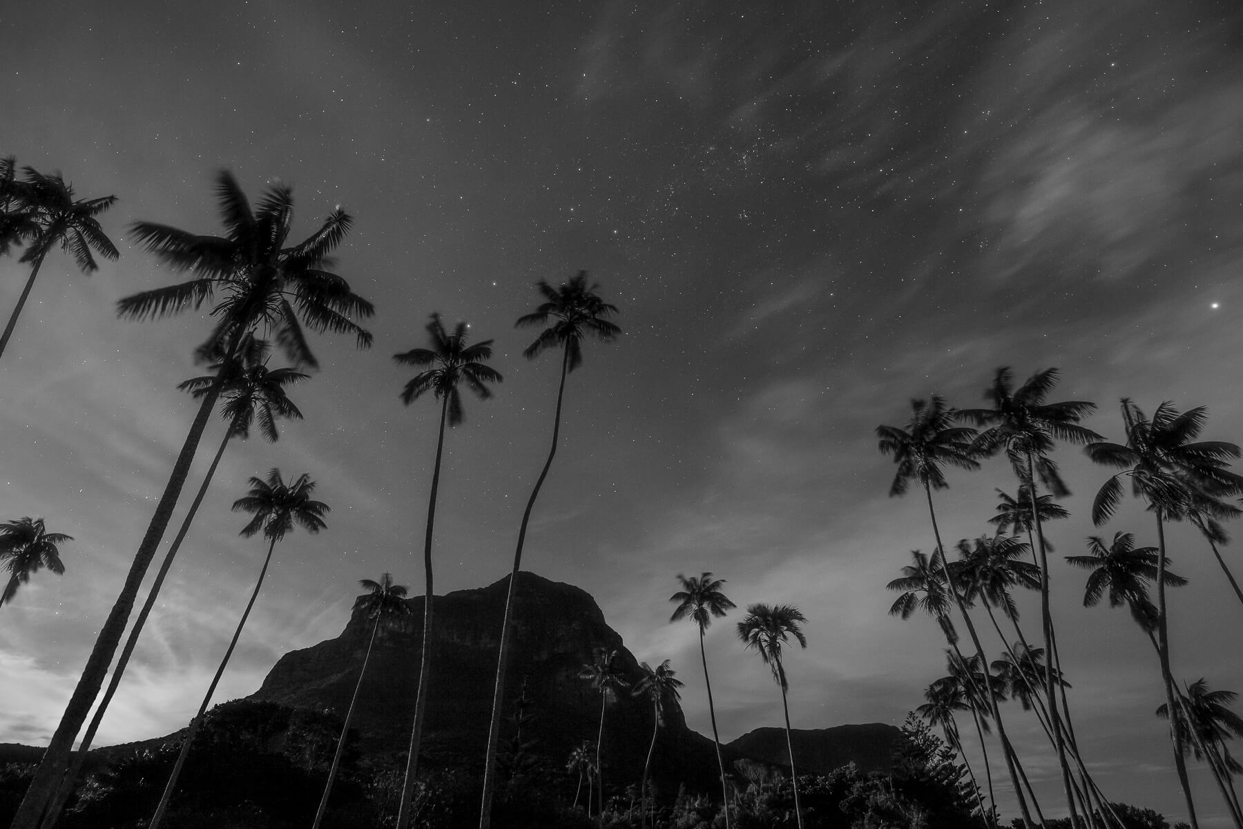 Black and white photo of mountains with palm trees