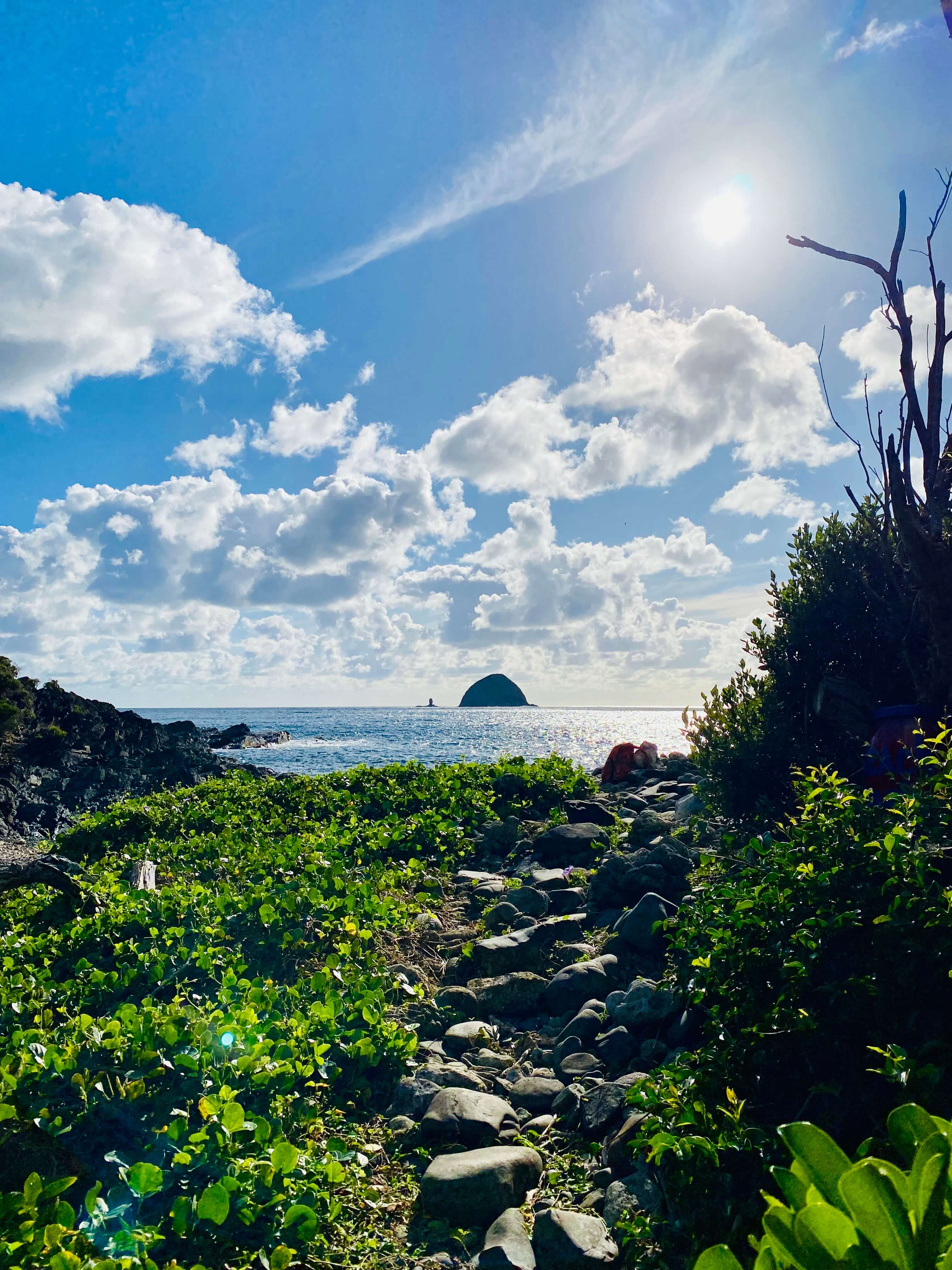A stone path leading up to the ocean on Lord Howe Island