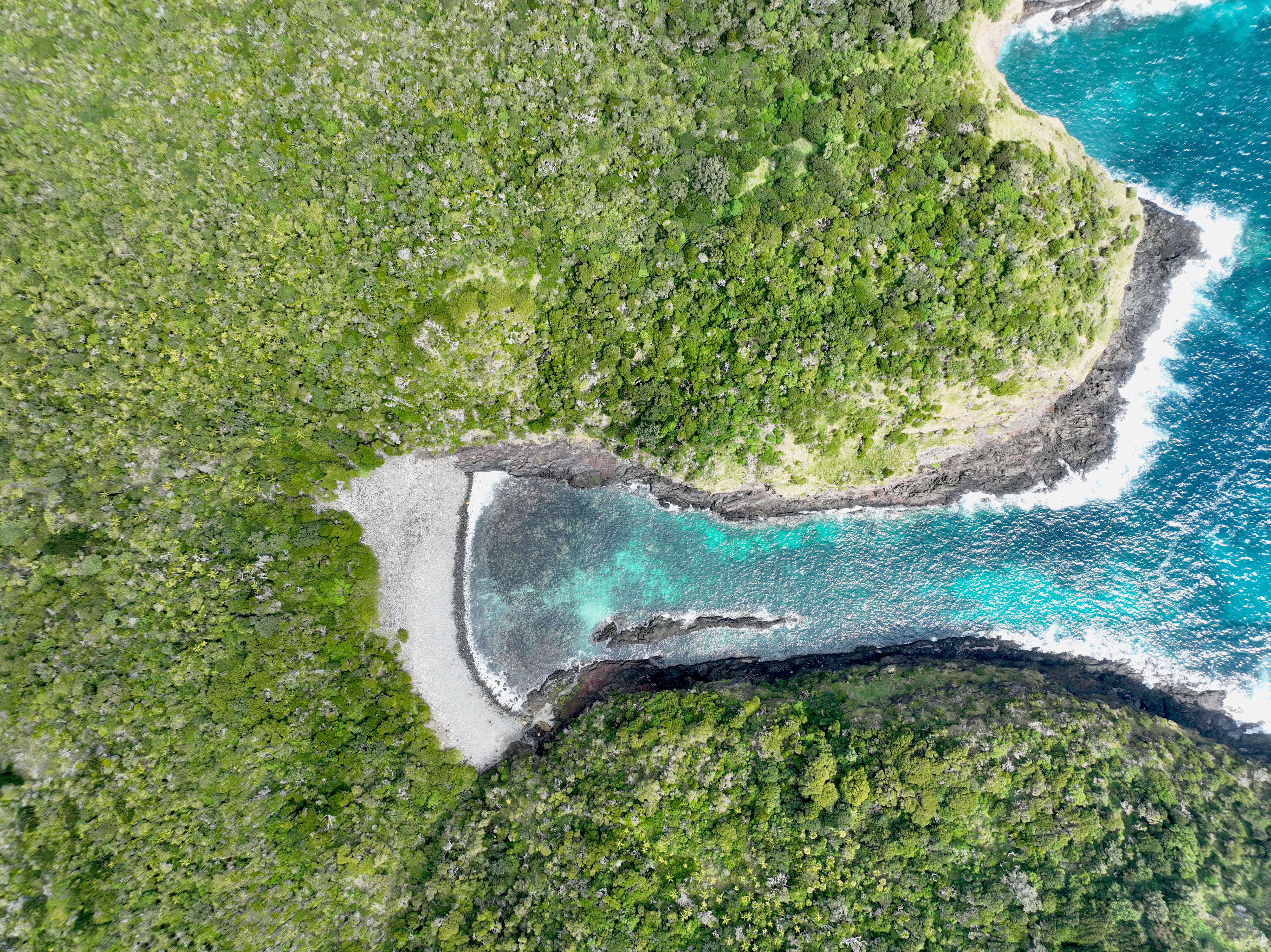 Aerial image of water and forest