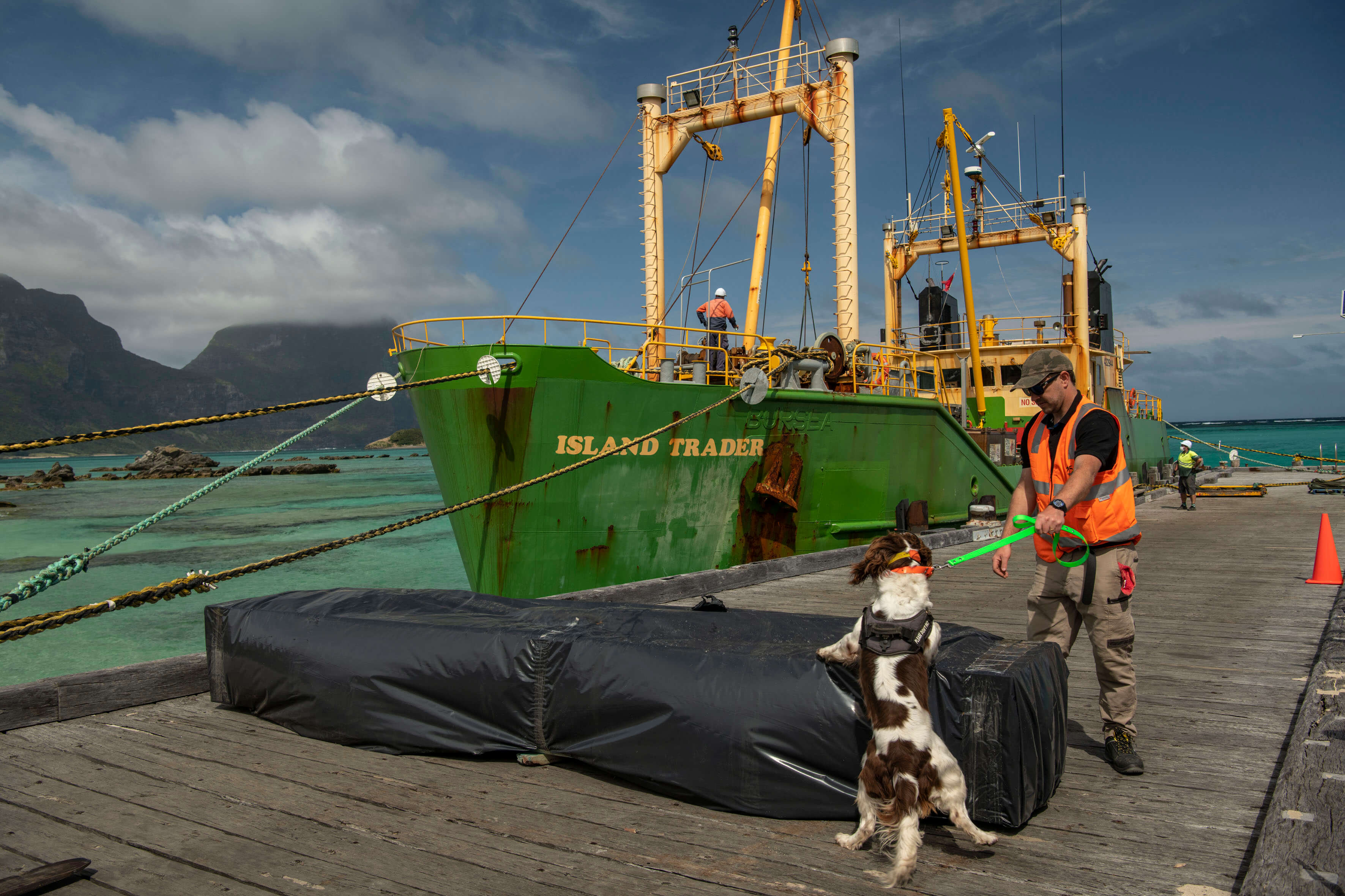 Dog sniffing incoming cargo from boat with dog handler