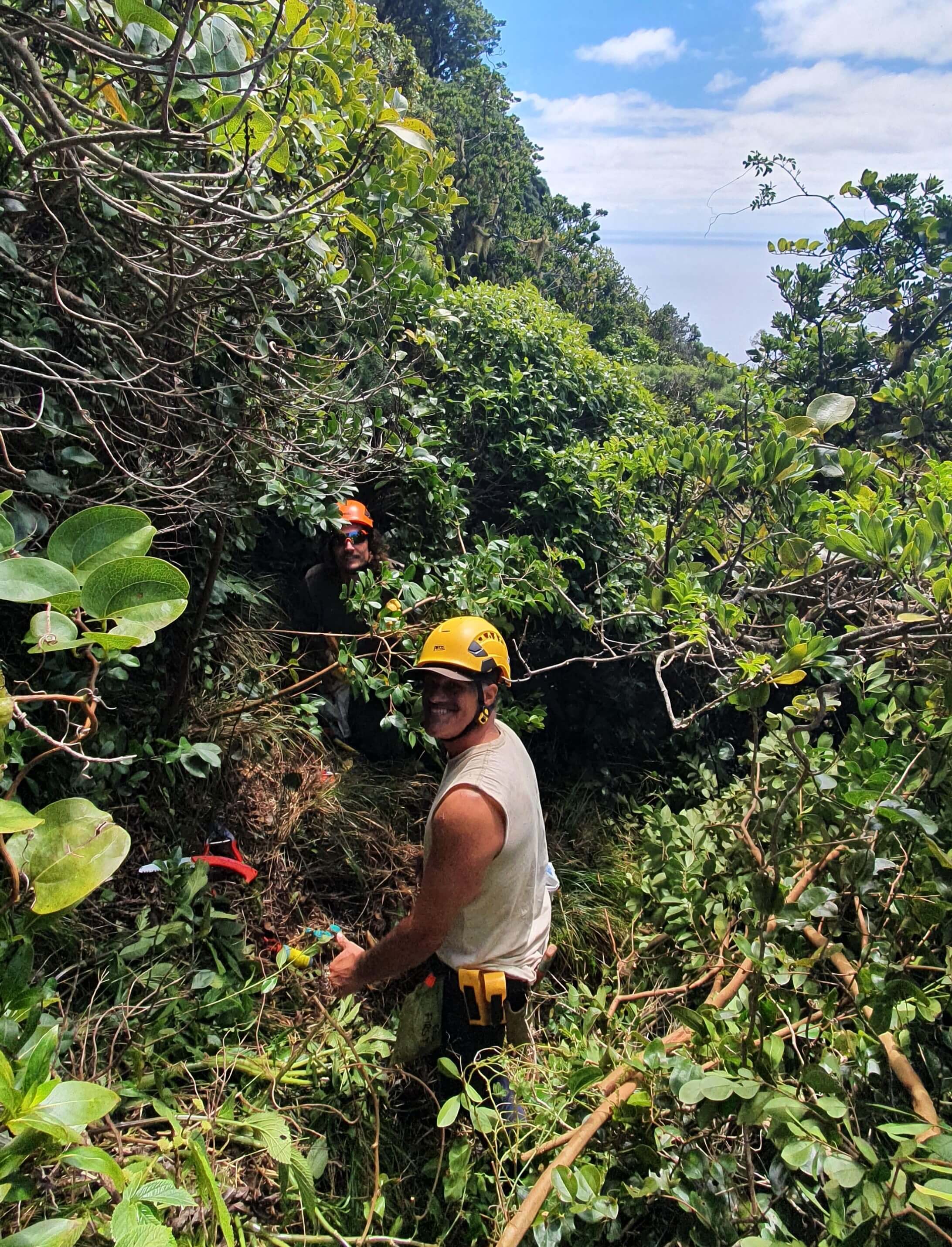 Two men in the bush