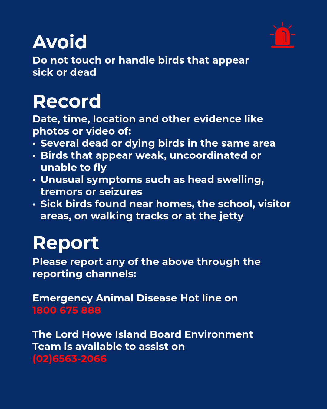 Avoid. Record. Report.