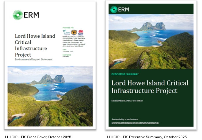 Environmental Impact Statement Critical Infrastructure Project